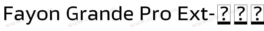 Fayon Grande Pro Ext字体转换